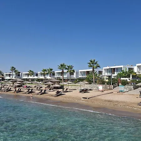 Chic Sunset With Terrace Daire *